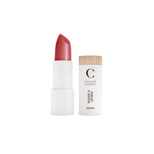 Load image into Gallery viewer, Glossy Lipstick - Best selling products (DO NOT DELETE)
